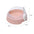 Large semi enclosed cat litter box with shovel